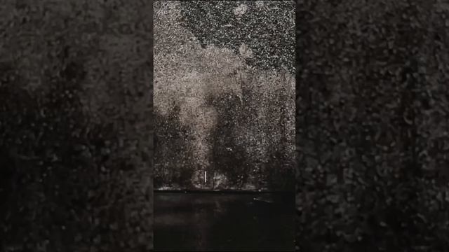 NEW DAY – Джин-тоник