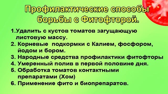 ФИТОФТОРА. Как вылечить с гарантией.. смотреть онлайн