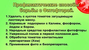 ФИТОФТОРА. Как вылечить с гарантией..