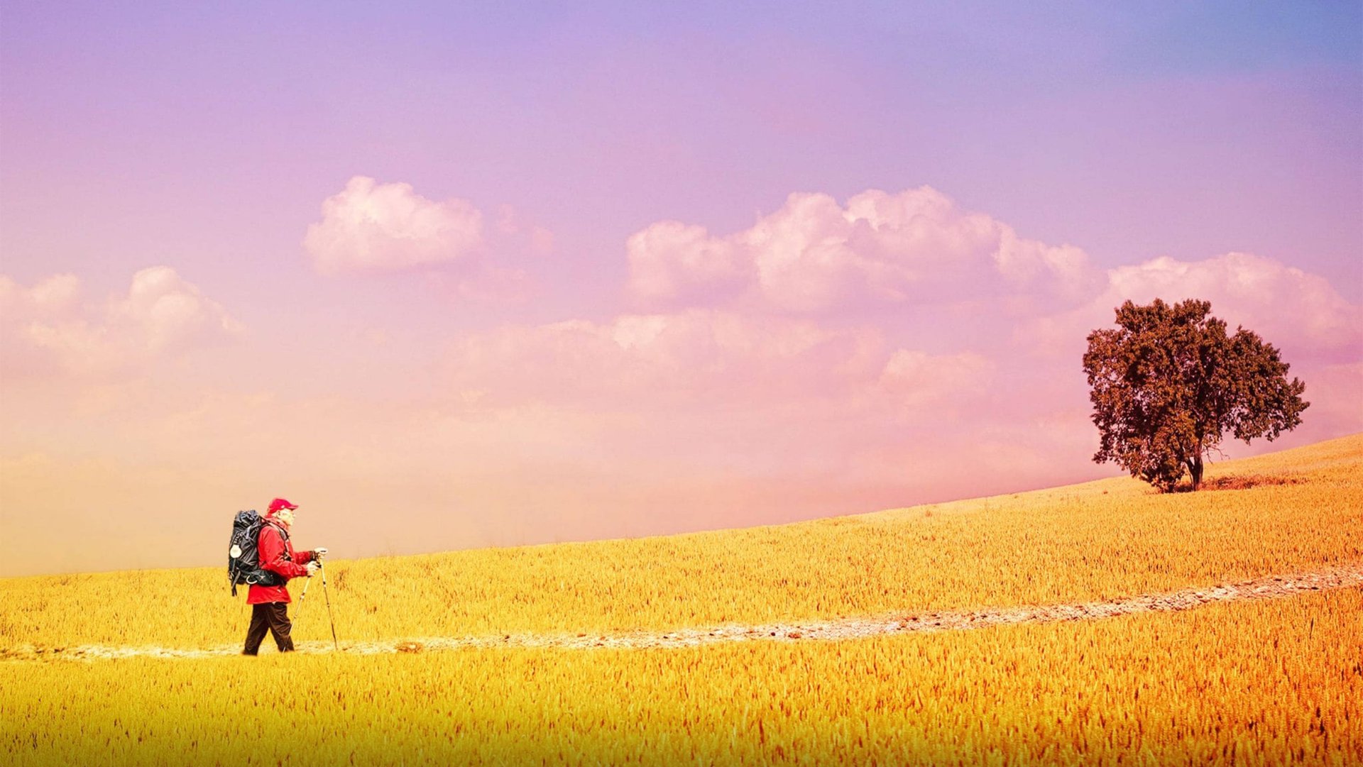 Путь, мой путь (2024) / The Way, My Way смотреть онлайн