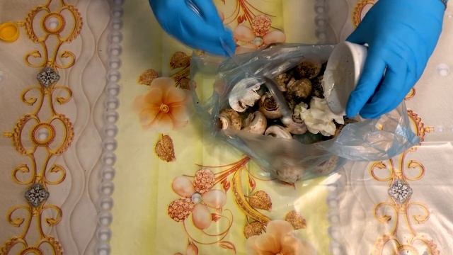 Готуємо в духовці гриби, як на мангалі. | Печериці як з мангалу смотреть онлайн