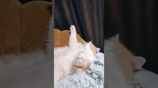 Отстань, кожаная, я отдыхаю! смотреть онлайн