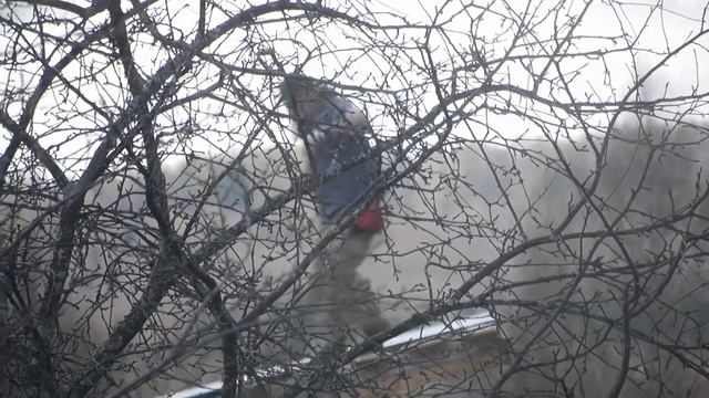 Построили Мышкон