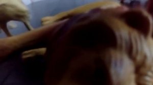 Муфаса и.Сараби