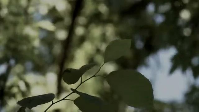 Edens on the Edge смотреть онлайн