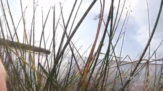 Охота...! как она есть ...! 2015 эпизод 13 смотреть онлайн