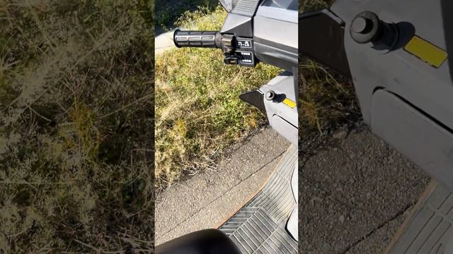 ヤフオク用スペイシー125ストライカー смотреть онлайн