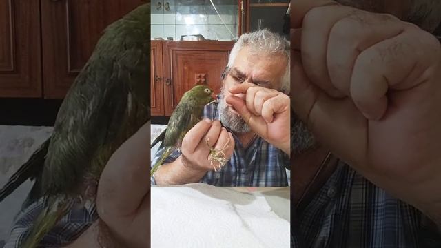 Жизнь и Новости от Дарьи Александровны ....... смотреть онлайн