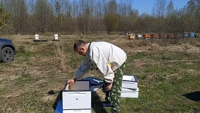Мой первый улей ППС на пасеке. Так ли хороши ППС ульи. Полный обзор улья от компании "пеноулик". смотреть онлайн