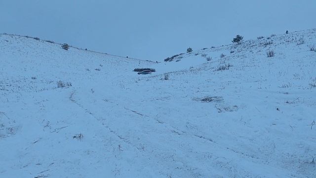 Новогодние покатушки 02.01.2025г. смотреть онлайн