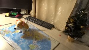 Интерактивная собака Лола