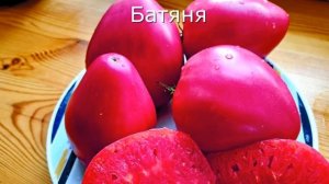 Лучшие 20 сортов томатов из 120 проверенных. Каталог семян томатов и клубники.