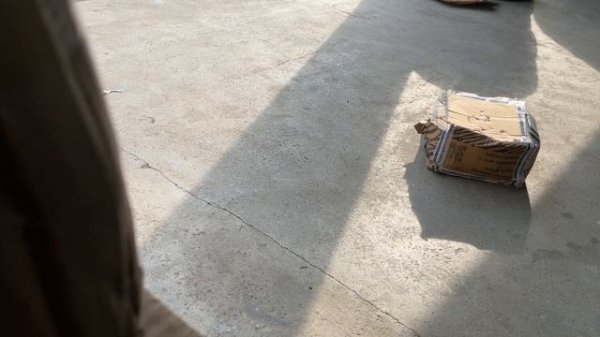 Не должно было выйти на Seventi Seven