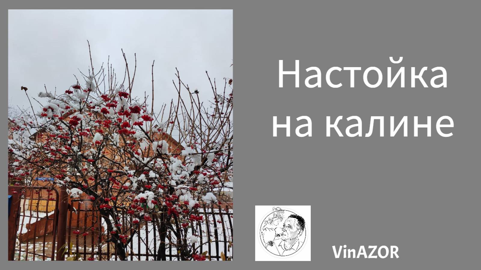 Настойка на калине. Как приготовить настойку на калине. смотреть онлайн