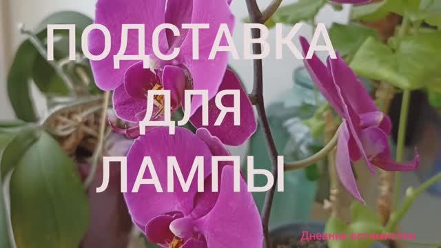 ПОДСТАВКА ДЛЯ ЛАМПЫ, ПОДСВЕТКА ЦВЕТАМ смотреть онлайн
