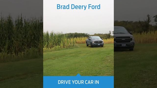 Sell us your vehicle! смотреть онлайн