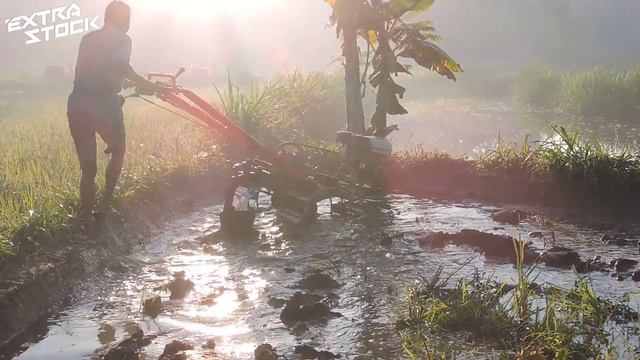 Traktor Quick Capung Metal! Bekerja Membajak Lahan Sempit Dengan Traktor Sawah Mini