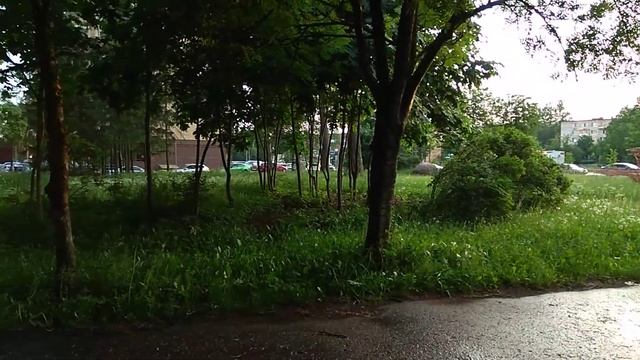 В сквере больше кислорода