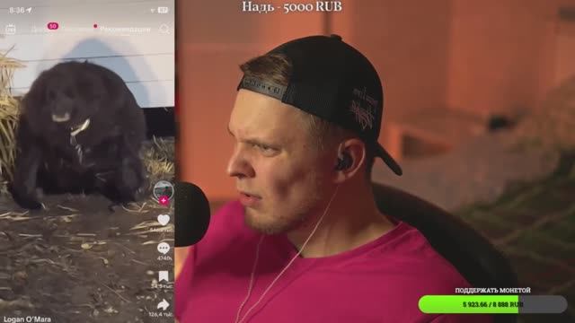 СМОТРИ НЕ ЗАЛИПНИ в ТИК ТОКЕ смотреть онлайн