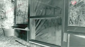 Аdvertising  Реклама Китикет Kitekat   Борис поймал пчелу In G Major 1