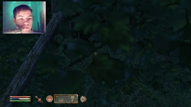 The Elder Scrolls IV:Oblivion №39 Смерти на каждом шагу смотреть онлайн