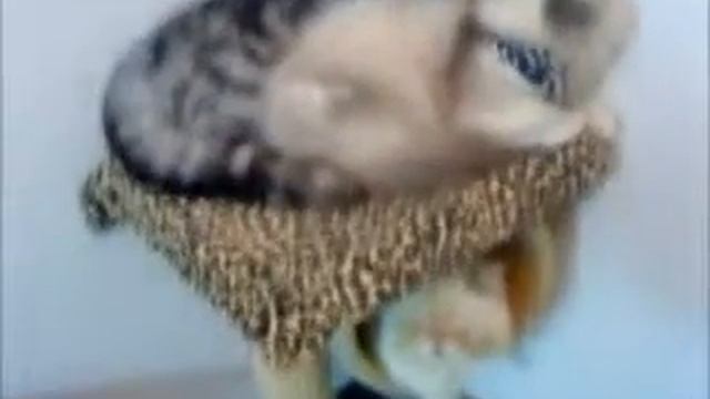 МКБ.wmv смотреть онлайн