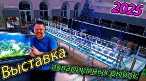 Выставка аквариумных рыбок 2025 [Подготовка аквариумов]
