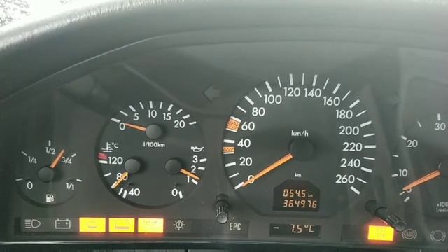 часть вторая (ЖИЗНЬ КАБАНА В ОПАСНОСТИ) смотреть онлайн