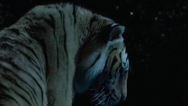 Жизнь Пи. смотреть онлайн