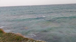 Чёрное море