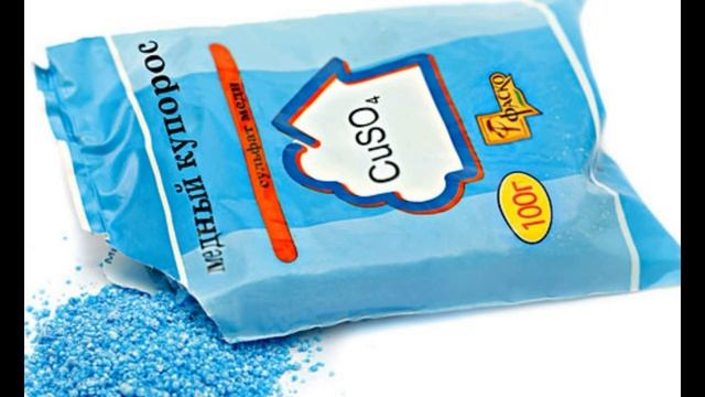 СРОЧНО обработайте косточковые от монилиоза! смотреть онлайн