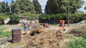 89. ОТКРЫВАЕМ сезон сбора ОЛИВОК 2024! Первые гости на АПЕЛЬСИНОВОМ ХУТОРЕ!