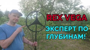 Глубинный металлоискатель Rex Vega на копе!