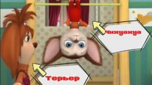 Почему Барбоскины разных пород? |Теория|