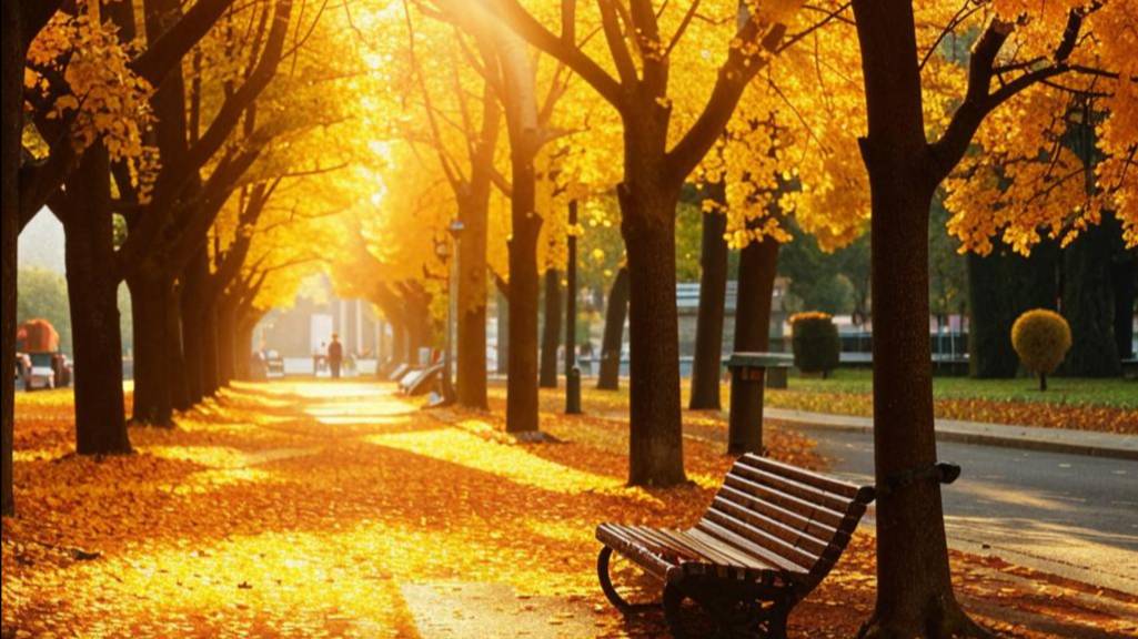Relax Time Jazz Music