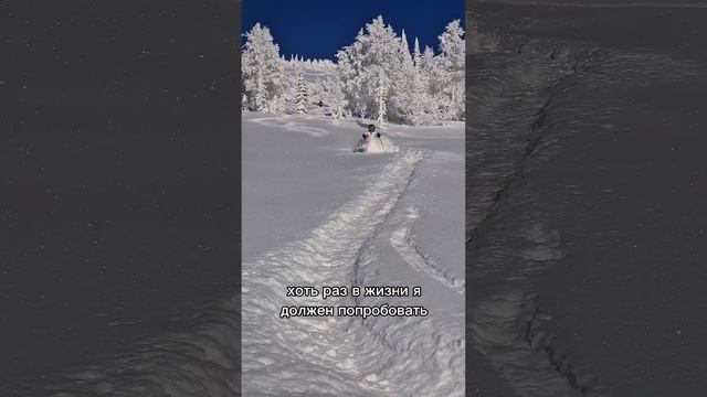 Почему я в офисе, а пацан в 7 лет на фрираыде в Приисковом? #горныелыжи #лыжи #приисковый #ski смотреть онлайн
