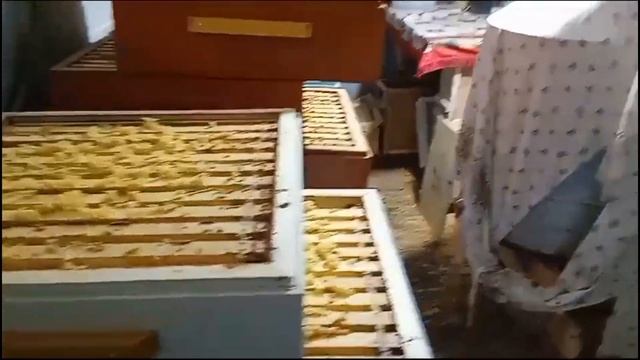 Катастрофа сезона отменяется. Пять километров от моего дома, а какая разница по мëду. смотреть онлайн