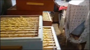 Катастрофа сезона отменяется. Пять километров от моего дома, а какая разница по мëду.