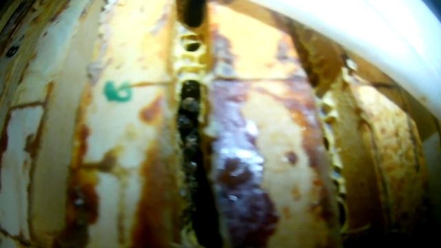 Идеальный вариант зимовки пчёл. Тёплая зимовка пчёл. Расход корма при зимовке. смотреть онлайн