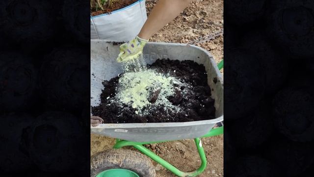 Ферментация чувств