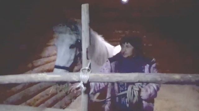 Мышь по Домнински 1