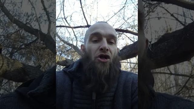 Слово Сына Матери