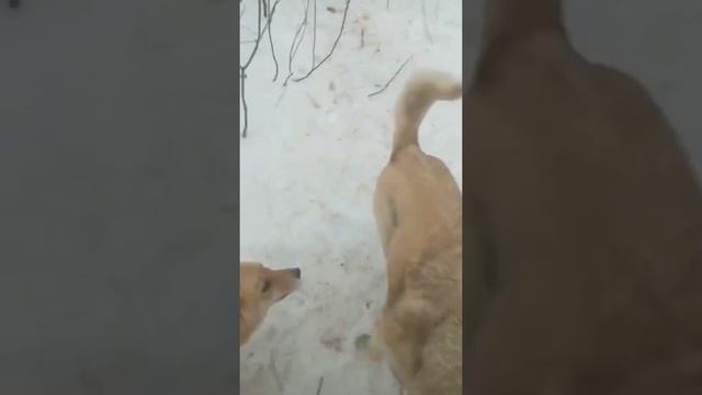 Им очень нужны обнимашки смотреть онлайн