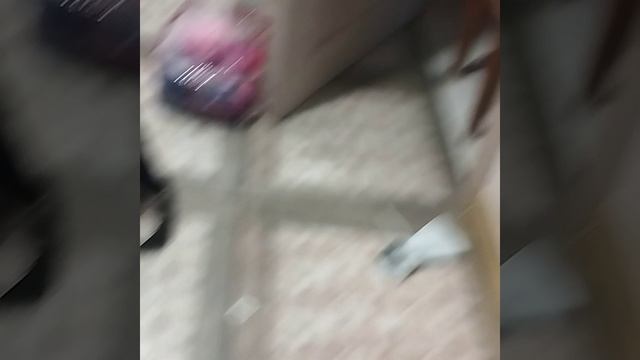 VID-20241216-WA0002.mp4 смотреть онлайн