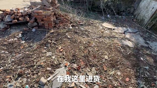 当着喜鹊的面用寸拳破冰，结果被嘲笑了，这冰太厚了！【天下一场梦】 смотреть онлайн