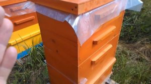 Шести рамочный улей. Шестирамочник. Сколько мёда способен принести.