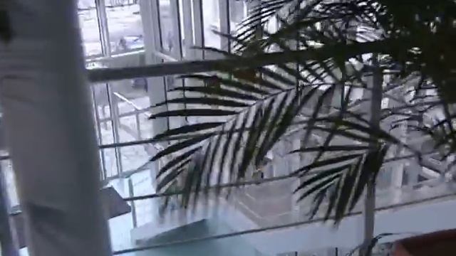 SPA & AQUAPARK смотреть онлайн