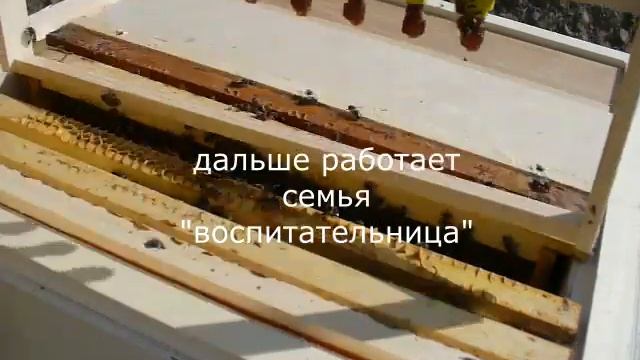 Наша пасека. 2019 год. смотреть онлайн