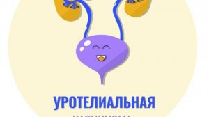 Лекарственная терапия уротелиальной карциномы (Гриднева Я.В.)