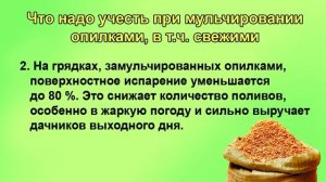 Мульча из свежих опилок. Не бойтесь.